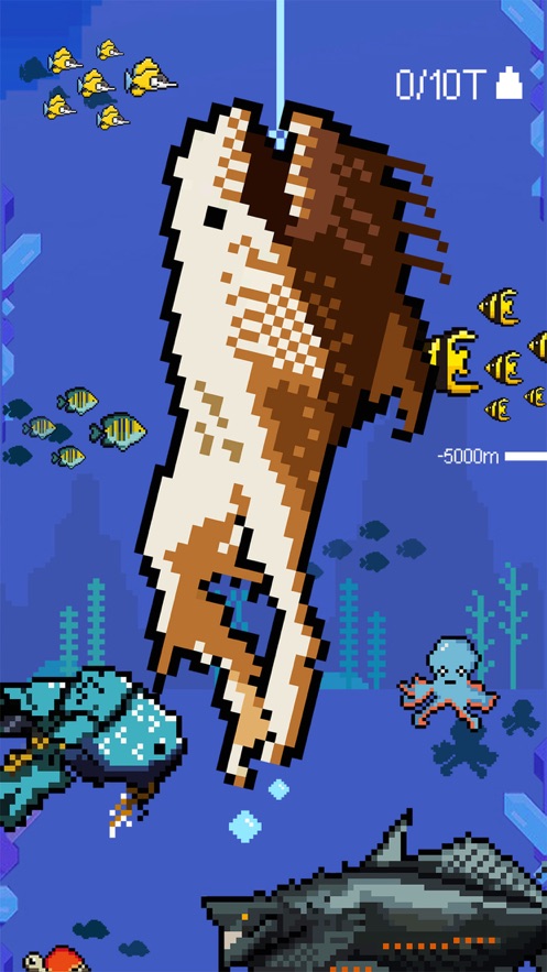 Fish Guru游戏图2