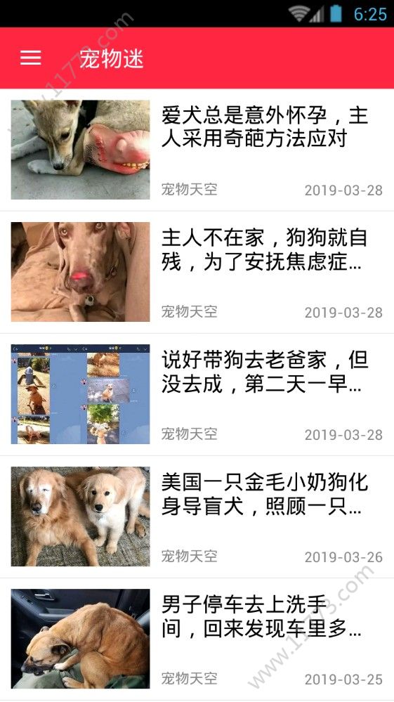 火猫宠社app官方手机版下载图片1