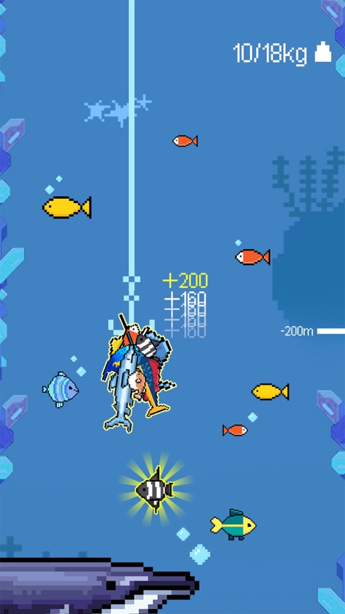 Fish Guru游戏图0