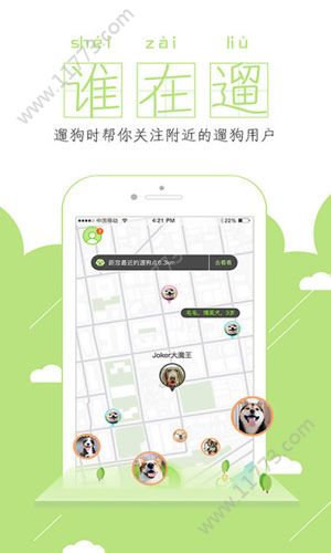 代遛狗app官方手机版下载图片1